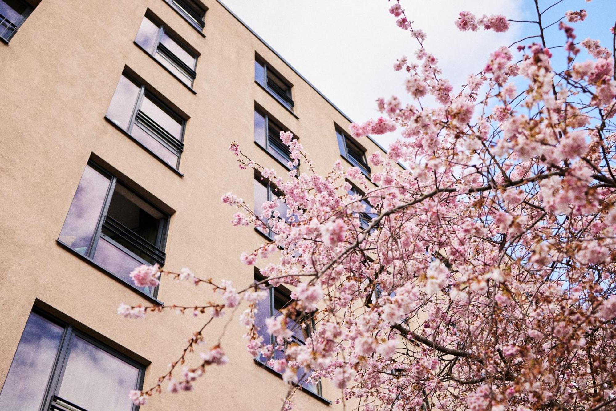 Hotel The George Hamburgo Exterior foto